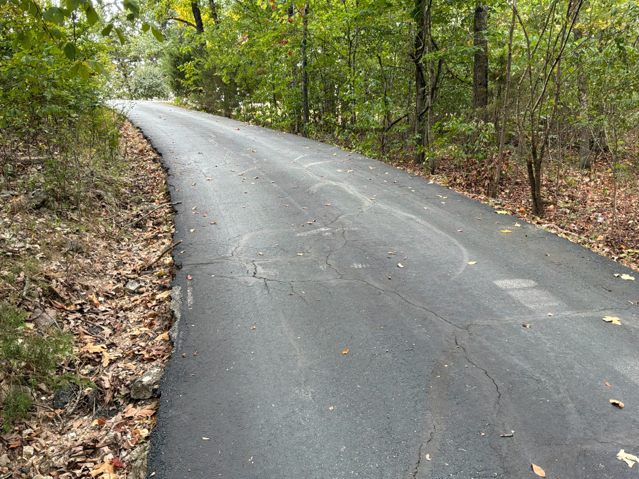 Weathered uphill driveway curving through woodland in Lampe